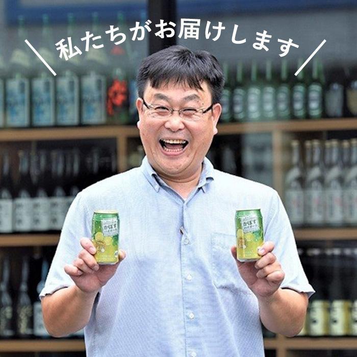 スッキリ!かぼすハイボール (340ml×24本) カボス ハイボール アルコール 8％ お酒 酒 大分県 佐伯市 【DR07】【(有)プロフィット】