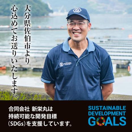 真ガキ 大入島オイスター (約2.6kg) 牡蠣 かき カキ 貝 海鮮 魚介類 冷蔵 生食可 シングルシード 養殖 大分県 佐伯市【ED09】【(合)新栄丸】