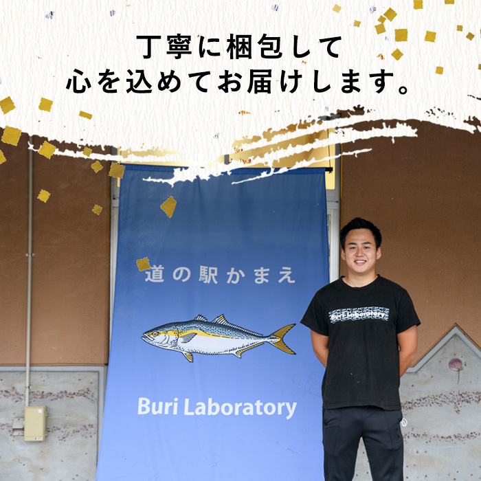 冷凍 生トコブシ (500g) 貝 魚介類 海鮮 小分け 冷凍 真空 おつまみ 惣菜 大分県 佐伯市 道の駅かまえ【EL14】【(株)蒲江創生協会】