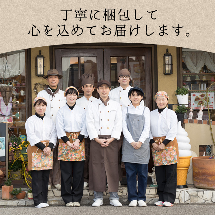 歴史と文学の道 (計10個) 小豆 スイーツ スウィーツ 菓子 焼き菓子 和菓子 おやつ 詰め合わせ セット 個装 大分県 佐伯市【ER009】【(株)古川製菓】