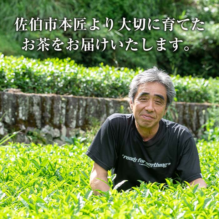 特選 釜炒り茶 因尾茶 (計240g・80g×3P) お茶 緑茶 茶 茶葉 釜炒り茶 日本茶 大分県 佐伯市 【ES01】【小野農園】