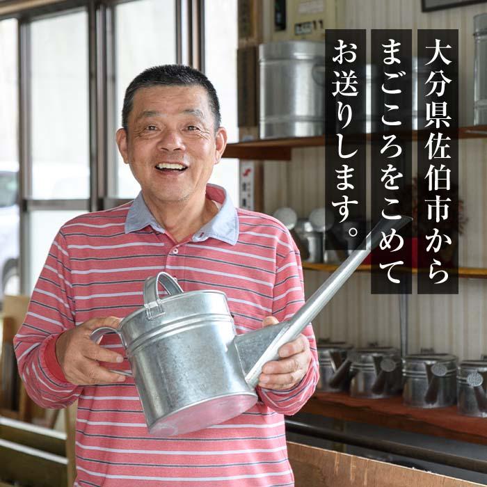板金職人が作るトタンの保存缶 (幅約20cm×高さ約27cm・缶口約10cm) 保存缶 雑貨 日用品 金属加工 職人 手作り 手仕事 大分県 佐伯市 防災【FH03】【吉岡板金】