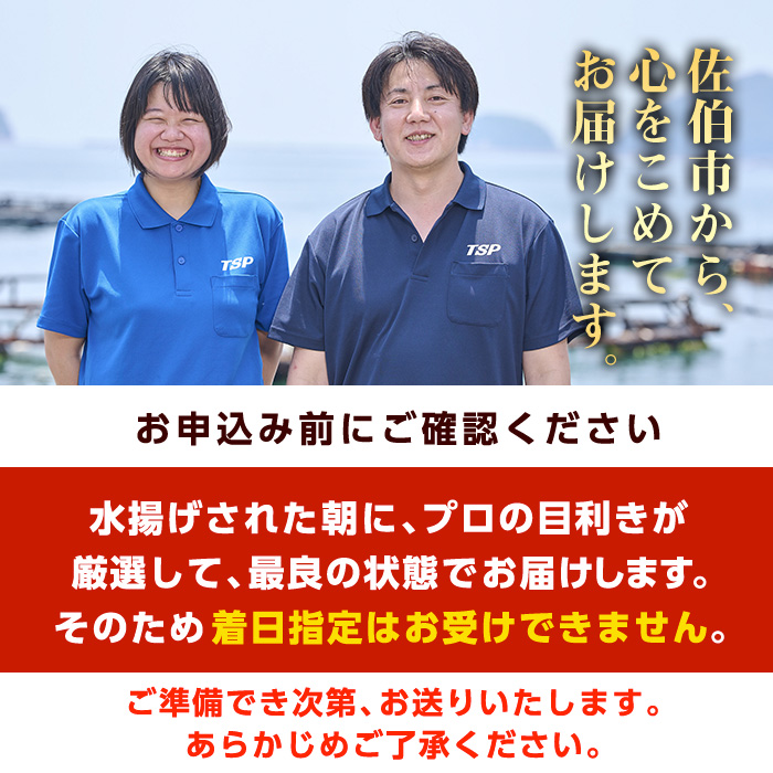 ＜先行予約受付中！2025年12月に順次発送予定＞豊後ぶり半身セット (合計1kg以上・スキンレスポーション×4切れ・ブリカマ×1切れ・あつめしのタレ×5袋) 簡単調理 鰤 皮なし 骨なし 小分け 真空パック 刺身 刺し身 塩焼き【GD001】【東海シープロ】