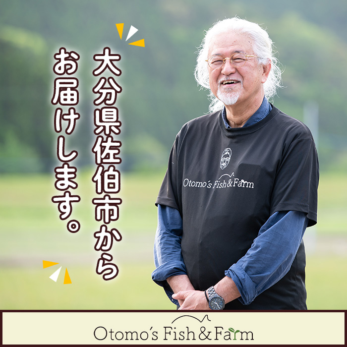 ブリのからすみ ブリッタルガ・ホール (計200g・100g×2P) からすみ ボッタルガ 小分け 鰤 真子 魚卵 お酒のおつまみ 大分県 佐伯市【GL007】【オートモズフィッシュアンドファーム】