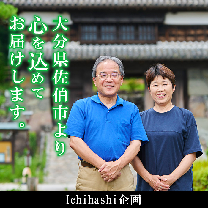 混ぜ飯の素「ばぁばの混ぜ飯」(計400g・200g×2袋) 混ぜご飯 味付けご飯 お寿司 簡単 時短 特産品 おにぎり お弁当 大分県 佐伯市【GN003】【Ichihashi企画】