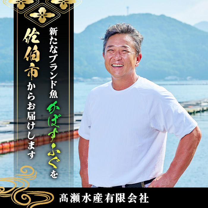 かぼすふぐ刺身(4-5人前)ふぐ フグ 刺身 皮 ひれ 薬味付き カボス【GP010】【高瀬水産】