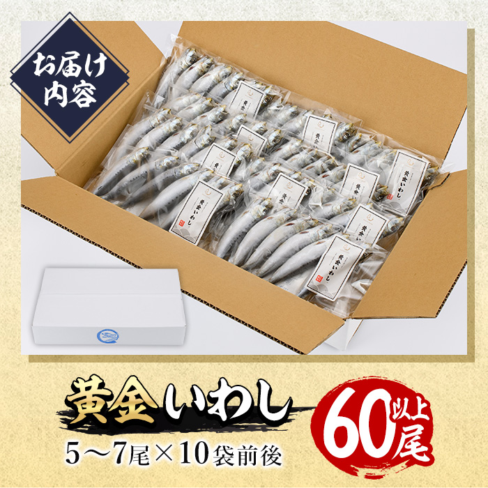 ＜訳あり＞黄金いわし (60尾以上) 黄金 いわし イワシ 丸干し 魚 海鮮 冷凍 おつまみ 小分け【GX002】【(有)マルサン商店】