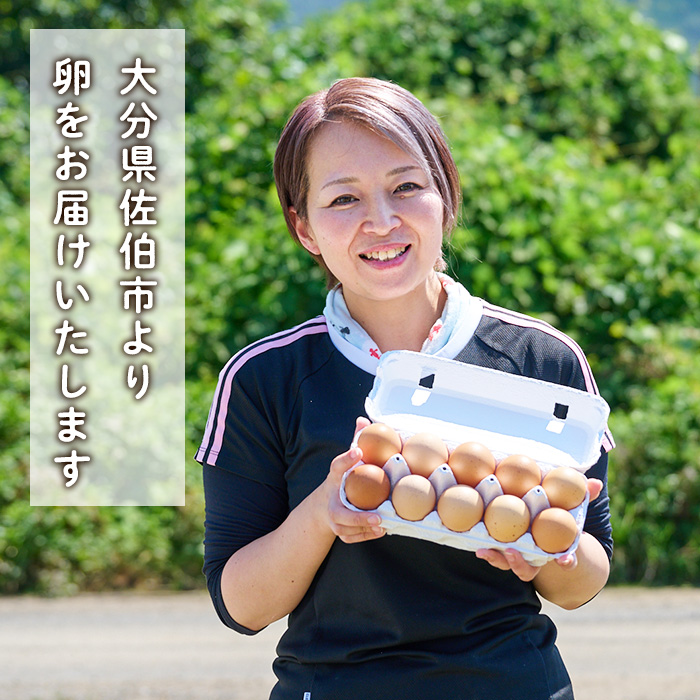 産直・平飼い有精卵  (計30個) 卵 玉子 卵かけご飯 玉子焼き 平飼い 鶏 鶏卵 養鶏場直送 朝採れ 新鮮 大分県 佐伯市 【HM01】【佐伯養鶏場】