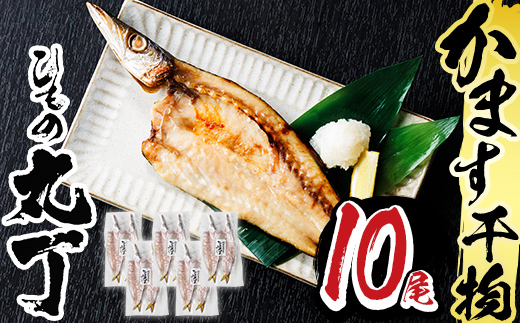 ギフト用品質！九州産ひものかます開き(10尾) 干物 かます カマス 開き 魚 海鮮 冷凍 ひもの 小分け 惣菜 おかず セット ギフト 贈り物 大分県 佐伯市【DH182】【ネクサ】