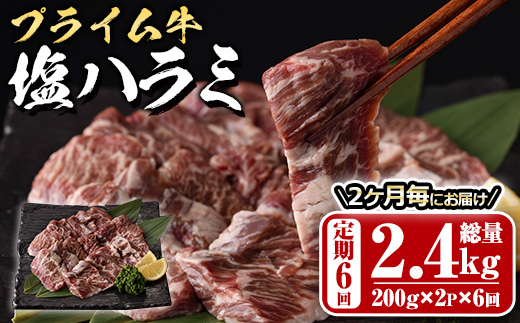 ＜定期便・全6回 (2か月ごとの発送)＞プライム牛 塩ハラミ(総量2.4kg) 定期便 小分け 牛肉 肉 ハラミ 牛はらみ 味付け 焼肉 塩 BBQ 冷凍 大分県 佐伯市【DH322】【ネクサ】