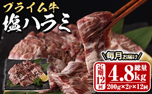＜定期便・全12回 (毎月の発送)＞プライム牛 塩ハラミ(総量4.8kg) 定期便 小分け 牛肉 肉 ハラミ 牛はらみ 味付け 焼肉 塩 BBQ 冷凍 大分県 佐伯市【DH323】【ネクサ】