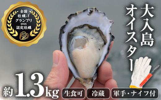 真ガキ 大入島オイスター (約1.3kg) 牡蠣 かき カキ 貝 海鮮 魚介類 冷蔵 生食可 シングルシード 養殖 大分県 佐伯市【ED08】【(合)新栄丸】