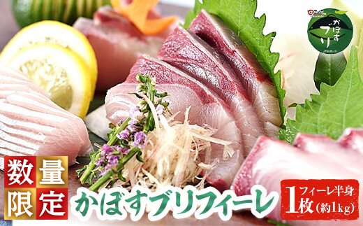 かぼすブリ フィーレ (1枚:約1kg) 期間限定 鰤 ブリ フィーレ 半身 魚 魚介類 養殖 大分県産 大分県 佐伯市【EW032】【Up】