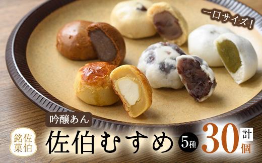 ひとくちまんじゅう 佐伯むすめ (計30個・5種×6個) 饅頭 饅頭 ひとくち 一口 薄皮 みそ 黒糖 抹茶 チーズ お菓子 スイーツ おやつ 焼き菓子 和菓子 詰め合わせ 個装 常温 大分県 佐伯市【AG96】【お菓子のウメダ】