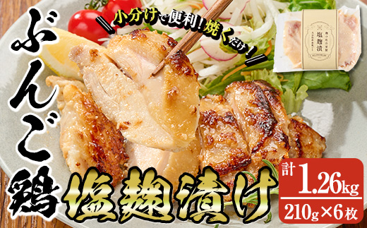 大分県産 ぶんご鶏の自家製塩麹漬け(計1.26kg・210g×6枚)国産 鶏肉 ステーキ タンパク質 簡単 調理 冷凍 大分県 佐伯市【AN109】【ぶんご銘醸 (株)】