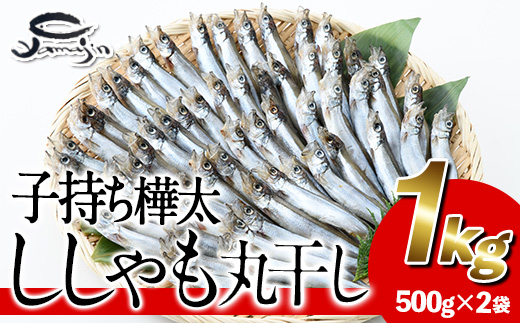 子持ち樺太ししゃも丸干し (計1kg・500g×2袋) 干物 ししゃも シシャモ 丸干し 魚 海鮮 冷凍 大分県 佐伯市【AP82】【(株)ヤマジン】