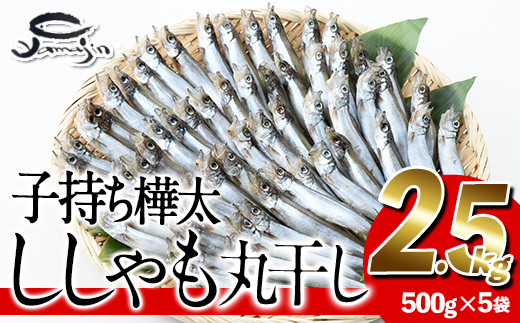 子持ち樺太ししゃも丸干し (計2.5kg・500g×5袋) 干物 ししゃも シシャモ 丸干し 魚 海鮮 冷凍 大分県 佐伯市【AP83】【(株)ヤマジン】
