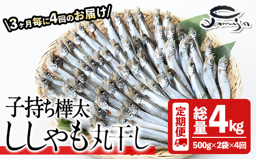 【定期便・全4回】3ヵ月に1回お届け！子持ち樺太ししゃも丸干し (総量4kg・1kg×4回) 干物 ししゃも シシャモ 丸干し 魚 海鮮 冷凍 大分県 佐伯市【AP86】【(株)ヤマジン】