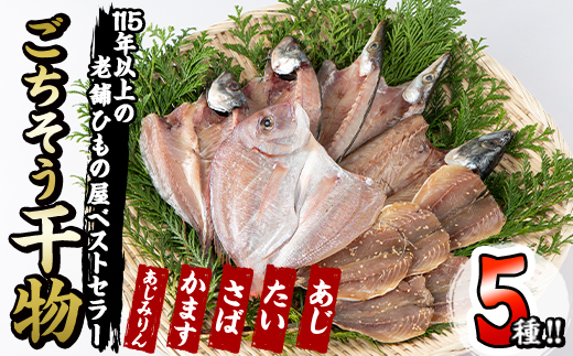 ごちそう干物5種セット (11尾・5種) 簡単 調理 干物 たい タイ 鯛 あじ アジ かます カマス さば サバ 丸干し 開き みりん干し 魚 海鮮 冷凍 詰め合わせ セット 大分県 佐伯市【AQ76】【(株)やまろ渡邉】