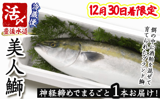 ＜12/30着限定＞神経締めでまるごと1本お届け！美人鰤 (1本・約5kg) 美人ブリ 美人鰤 ぶり ブリ 鰤 神経締め ブランド魚 獲れたて 鮮魚 まるごと 冷蔵 海の直売所 大分県 佐伯市 ＜離島配送不可＞ 【AS130】【海べ】
