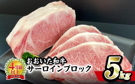おおいた 和牛 サーロイン ブロック (5kg) 国産 豊後牛 ステーキ BBQ バーベキュー 惣菜 やきにく おかず 百年の恵み 大分県 佐伯市【BD192】【西日本畜産 (株)】