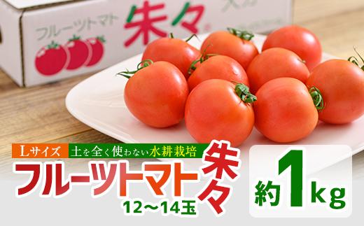 フルーツトマト 朱々 Lサイズ (計1kg・12-14玉) L 高糖度 糖度 フルーツトマト トマト 野菜 サラダ 大分県 佐伯市 九州産 国産 大分県 佐伯市【CH62】【サニープレイス】
