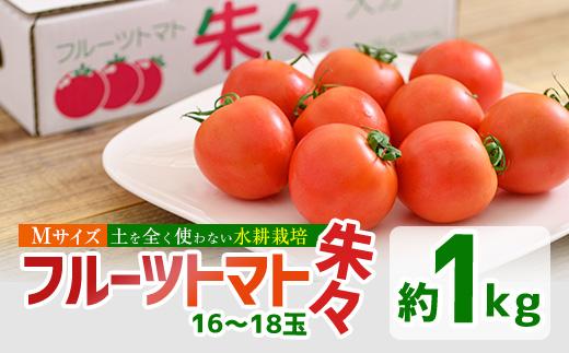 フルーツトマト 朱々 Mサイズ (計1kg・16-18玉) M 高糖度 糖度 フルーツトマト トマト 野菜 サラダ 大分県 佐伯市 九州産 国産 大分県 佐伯市【CH63】【サニープレイス】