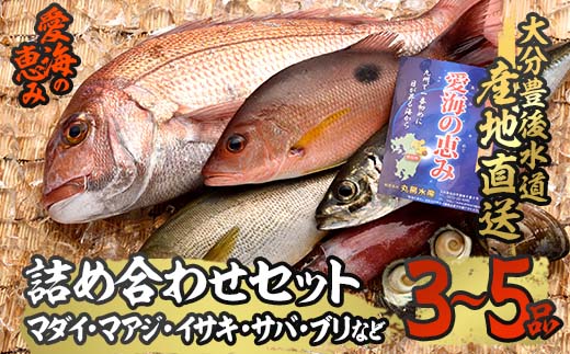 天然 鮮魚詰め合わせ (合計約2.8-3.2kg・3種以上) 直送 産直 漁師 魚 鮮魚 天然 マダイ 鯛 マアジ 鯵 イサキ サバ 鯖 ブリ 鰤 獲れたて 刺身 煮つけ 塩焼き 冷蔵 豊後水道 鮮魚【CS01】【 (有)丸昌水産】