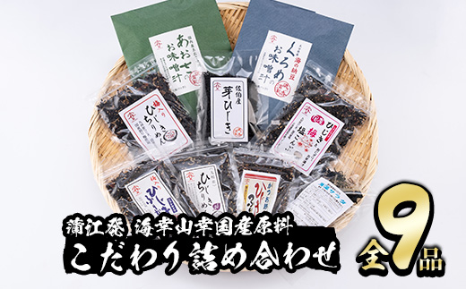 佐伯市産 国産海藻詰め合わせ (9品) ひじき 海藻 ふりかけ ちりめん こんぶ あおさ 味噌汁 サラダ ごはん おにぎり 常温 国産 大分県 佐伯市【DE03】【安部水産 (株)】