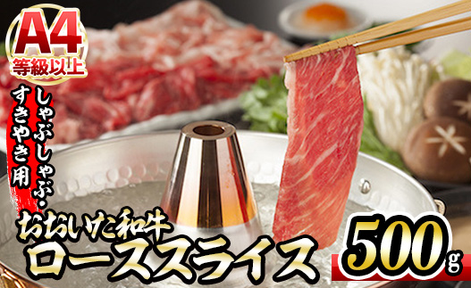おおいた和牛 ローススライス (500g) 国産 牛肉 肉 霜降り 低温熟成 A4 和牛 ブランド牛 ロース すき焼き しゃぶしゃぶ 冷凍 大分県 佐伯市 【DH193】【ネクサ】