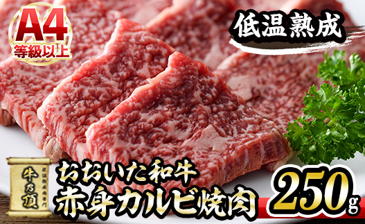 おおいた和牛 赤身カルビ焼肉 (250g) 国産 牛肉 肉 霜降り 低温熟成 A4 和牛 ブランド牛 カルビ 焼肉 BBQ 冷凍 大分県 佐伯市【DH200】【(株)ネクサ】