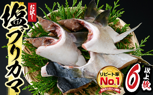 ＜お試し用＞ひもの丸丁の塩ブリカマ(3～4枚入り)×2パック 大分県産 国産 ブリ ぶり 鰤 養殖ブリ 新鮮 鰤かま 冷凍 大分県 佐伯市【DH254】【(株)ネクサ】