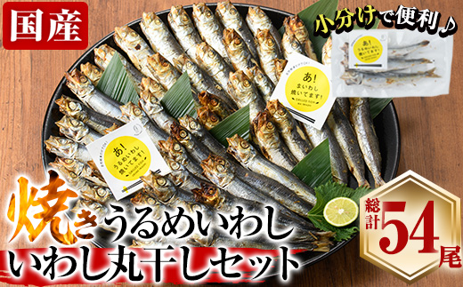 焼き うるめいわし 丸干し・焼き いわし 丸干し セット(総計54尾) 焼いてますシリーズ 小分け 国産 冷凍 国産 魚 海鮮 おつまみ おかず 惣菜 簡単調理 大分県 佐伯市【DL25】【鶴見食賓館】