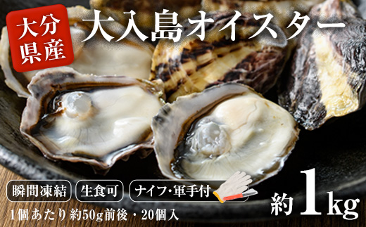大入島 バージン オイスター 牡蠣 約1kg (1個約50g前後・20個入) 生食可 冷凍 真牡蠣 かき 貝 かい 酒蒸し 焼き牡蠣 パスタ 国産 一口サイズ ご当地 お取り寄せ グルメ 大分県 佐伯市【ED06】【(合)新栄丸】