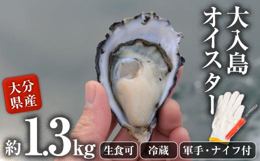 真ガキ 大入島オイスター (約1.3kg) 牡蠣 かき カキ 貝 海鮮 魚介類 冷蔵 生食可 シングルシード 養殖 大分県 佐伯市【ED08】【(合)新栄丸】