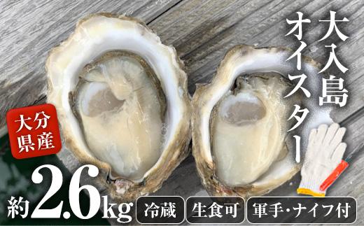 真ガキ 大入島オイスター (約2.6kg) 牡蠣 かき カキ 貝 海鮮 魚介類 冷蔵 生食可 シングルシード 養殖 大分県 佐伯市【ED09】【(合)新栄丸】