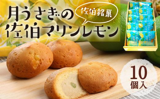 月うさぎの佐伯マリンレモン (計10個) レモン レモンケーキ スイーツ スウィーツ 菓子 焼き菓子 洋菓子 おやつ セット 個装 大分県 佐伯市【ER002】【(株)古川製菓】