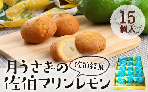 月うさぎの佐伯マリンレモン (計15個) レモン レモンケーキ スイーツ スウィーツ 菓子 焼き菓子 洋菓子 おやつ セット 個装 大分県 佐伯市【ER003】【(株)古川製菓】