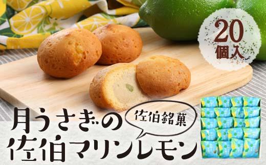 月うさぎの佐伯マリンレモン (計20個) レモン レモンケーキ スイーツ スウィーツ 菓子 焼き菓子 洋菓子 おやつ セット 個装 大分県 佐伯市【ER004】【(株)古川製菓】