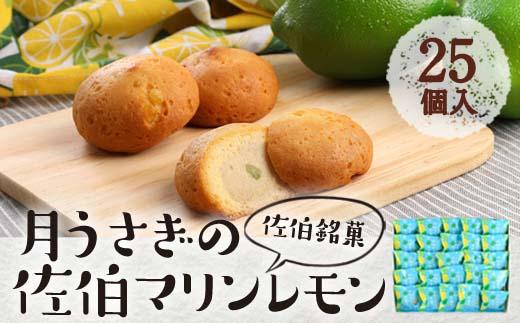 月うさぎの佐伯マリンレモン (計25個) レモン レモンケーキ スイーツ スウィーツ 菓子 焼き菓子 洋菓子 おやつ セット 個装 大分県 佐伯市【ER005】【(株)古川製菓】