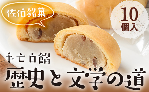 歴史と文学の道 (計10個) 小豆 スイーツ スウィーツ 菓子 焼き菓子 和菓子 おやつ 詰め合わせ セット 個装 大分県 佐伯市【ER009】【(株)古川製菓】