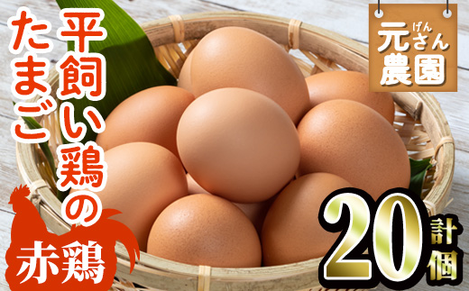 元さん農園 平飼い赤鶏のたまご (計20個・10個×2P) 元さん農園 卵 玉子 卵かけご飯 玉子焼き 平飼い 鶏 鶏卵 養鶏場直送 朝採れ 新鮮 大分県 佐伯市 【GE001】【 (株)海九】