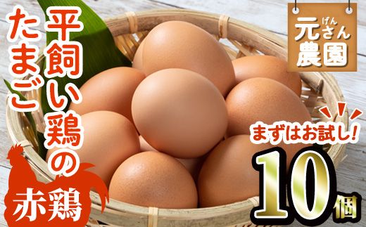 ＜お試し用＞ 平飼い赤鶏のたまご (計10個) 元さん農園 卵 玉子 卵かけご飯 玉子焼き 平飼い 鶏 鶏卵 養鶏場直送送 朝採れ 新鮮 大分県 佐伯市 【GE002】【 (株)海九】