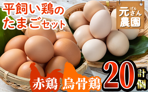 平飼い鶏のたまごセット (合計20個・烏骨鶏たまご10個・赤鶏たまご10個) 元さん農園 卵 玉子 卵かけご飯 玉子焼き 平飼い 鶏 鶏卵 養鶏場直送 朝採れ 新鮮 大分県 佐伯市 【GE004】【 (株)海九】