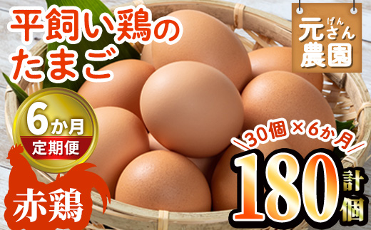 ＜定期便・全6回 (連続)＞平飼い赤鶏のたまご (総量180個・S-Mサイズ30個×6回) 元さん農園 卵 玉子 卵かけご飯 玉子焼き 平飼い 鶏 鶏卵 養鶏場直送 朝採れ 新鮮 大分県 佐伯市 【GE005】【 (株)海九】