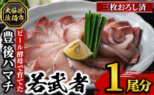 豊後ハマチ 若武者(三枚おろし済1尾) ハマチ はまち 鮮魚 旬 刺身 三枚おろし 国産 大分県 佐伯市 特産品【GS002】【浪井丸天水産】