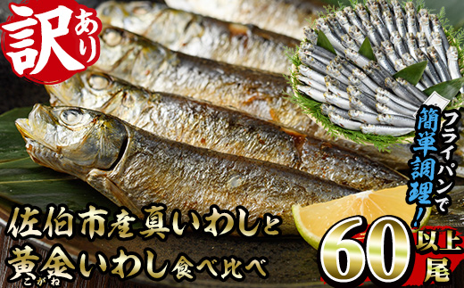 ＜訳あり＞佐伯市産真いわしと黄金いわし 食べ比べ (2種・60尾以上) 国産 大分県産 イワシ 黄金いわし 丸干し 魚 海鮮 冷凍 おつまみ 小分け【GX003】【(有)マルサン商店】