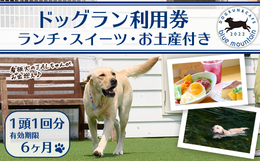 メール便でお届け！ドッグラン利用券(ランチ・スイーツ・お土産付き)(1頭1回分) 犬 ワンちゃん ペット チケット おやつ カフェ 体験 レジャー 自然 屋内 屋内 ラン ポスト投函 大分県 佐伯市【HI001】【ドッグラン＆カフェblue mountain】