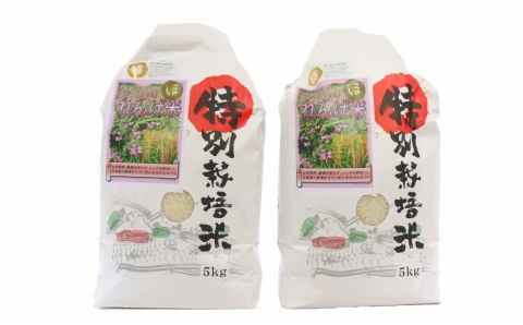 【令和7年度産】 《精米》佐々木さんの「れんげ米」（10kg）