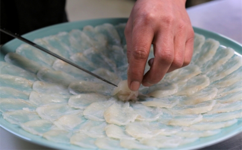 【年内・年末年始発送可】圧巻の豊後水道天然トラフグ！天然トラフグ刺しふぐ鍋セット（6人前）［冷蔵］［天然トラフグ1kg超え活魚使用］割烹みつご